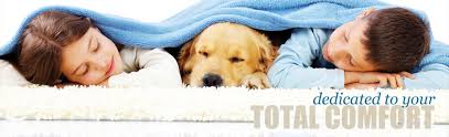 Heating and Air Conditioning in Raleigh Area Heating and Air Conditioning in Raleigh Area